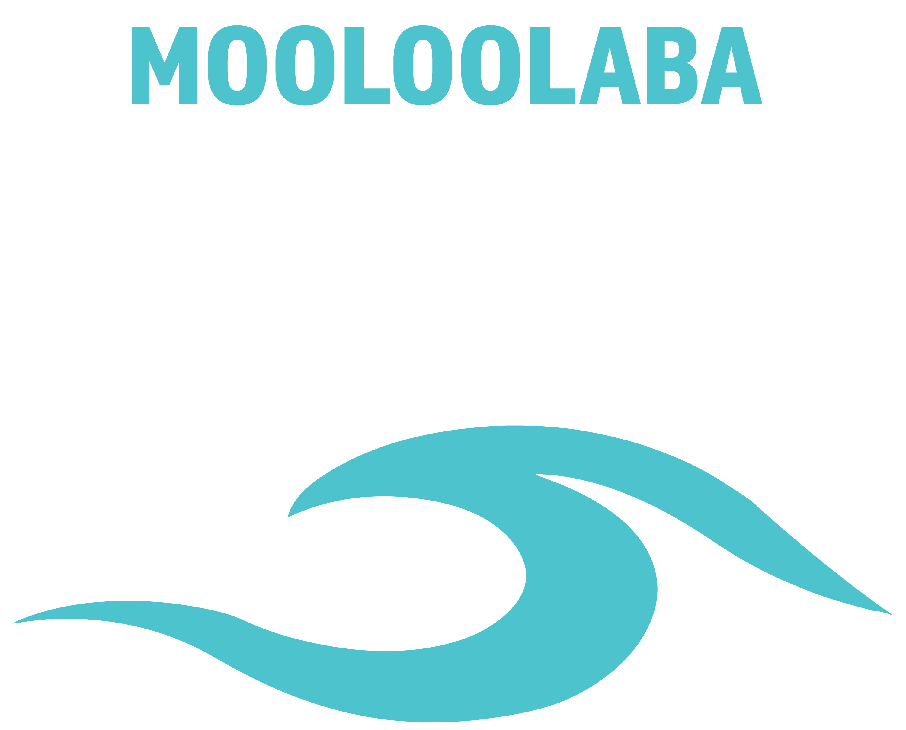 OSS Logo 1 Swimmer transparent white text-tinified